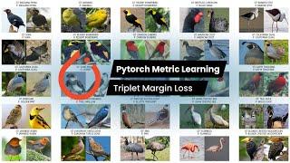 Pt. 2 | Pytorch Metric Learning | BIRDS 400-SPECIES IMAGE CLASSIFICATION