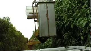 Mango Cherry Picker