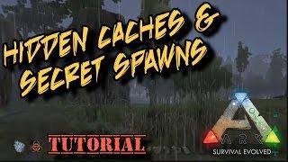 Hidden Caches and Secret Spawns - Ark Survival Evolved