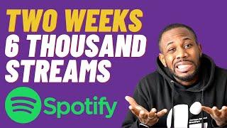 Using Facebook and Instagram STORY ADS to get 6,000 Spotify streams in 2 weeks