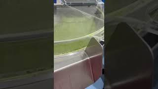 Tecmaq CUTMIX 120 producing Pesto