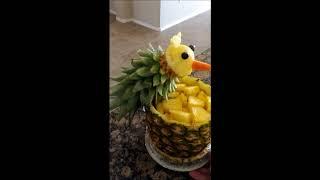 Pineapple Bird