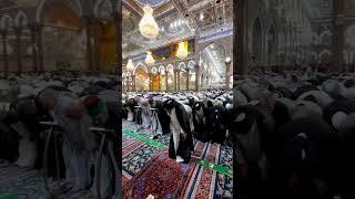 Shia Namaz| Shia ki Namaz|اہل تشیع کی نماز|شیعہ کمیونٹی کی نماز