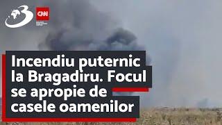 Incendiu puternic la Bragadiru. Focul se apropie de casele oamenilor