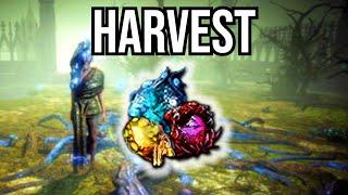 How to Farm Harvest with Wandering Path | ZERO INVESTMENT