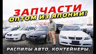 BMW, MERC, AUDI из Японии. Автозапчасти оптом. Распилы авто, контейнеры.  Легковые и грузовые.