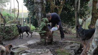 #54 - Everyone Gets Involved | Creating a Raised Stone Flowerbed, Rebuilding Old Walls & Gardening