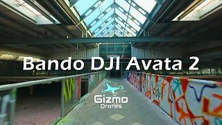 Massive Bando - DJI Avata 2 Dlog-M Acro