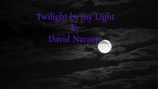 David Naranjo - Twilight by my Light