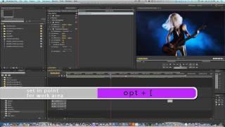 Working Faster in Premiere Pro by NLE Ninja (Premiere Pro CS5.5)