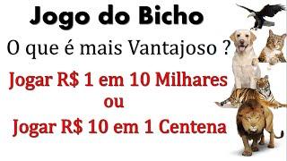 Jogo do Bicho: O que é mais Vantajoso ? Jogar R$1 em 10 MILHARES ou R$10 em apenas UMA CENTENA?