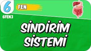 Sindirim Sistemi  tonguçCUP 1.Sezon - 6FEN3 #2025