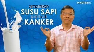 Amankah SUSU SAPI Untuk KANKER ??