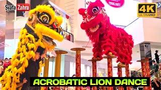  Acrobatic LION DANCE CNY 2023 - BARONGSAI MAHA VIRYA