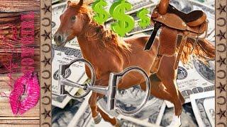 How To Make Money TRAINING HORSES!