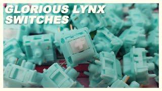 Glorious' New Linears : Lynx Switches