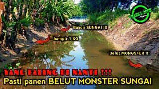 INILAH SAAT TERBAIK UNTUK MANCING BELUT BESAR DI SUNGAI