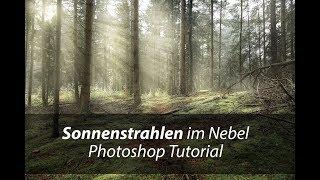 Sonnenstrahlen im Nebel | Photoshop Tutorial