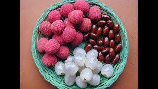 How to grow lychee tree from seeds and eat fruits