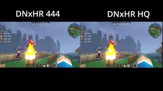 DNxHR 444 vs DNxHR HQ video comparison