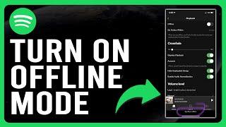 How To Turn On Offline Mode In Spotify (Steps To Enable Offline Mode on Spotify)