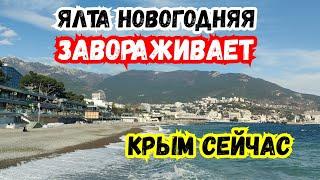 Завораживает! Ялта Новогодняя! Выиграли Календарь от Крым Глазами Местных. Отдых в Крыму