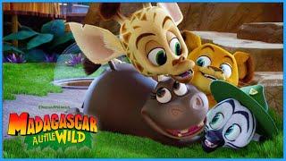 Be the Best You! | DreamWorks Madagascar