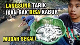 CARA PALING MUDAH MENANGKAP IKAN WADER