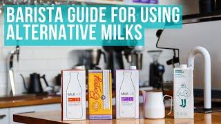 How to Steam Alternative Milk for Coffee (Tips & Tricks)