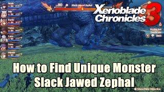 How to Find Unique Monster Level 80 Slack Jawed Zephal l Xenoblade Chronicles 3