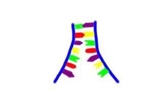 DNA Duplication Animation