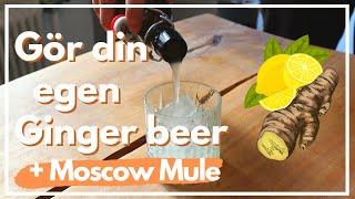 Hemmagjord Ginger Beer - bara tre ingredienser + Moscow Mule!