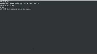 How to Count Number of Lines in a File in Linux