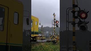 Railroad Crossing Japan - Isumi Tetsudo Railway #shorts