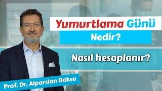 Yumurtlama Günü Hesaplama Nasıl Yapılır?