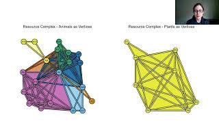 Topological Data Analysis of Plant-Pollinator Resource Complexes [Melinda Kleczynski]