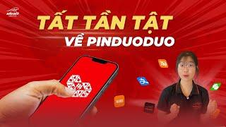 Pinduoduo Là Gì & Những Điều Cần Biết Về Pinduoduo | Tất Tần Tật Về Pinduoduo | Báo Đen Logistics