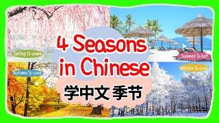 学中文 - 季节 | Learn 4 Seasons in Mandarin Chinese | 初级汉语—四季 | Season & Weather Flashcard in Chinese