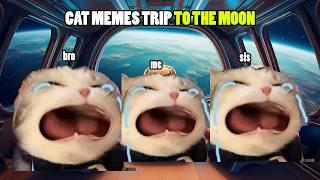 CAT MEMES FAMILY TRIP TO THE MOON