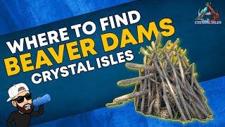 Ark Crystal Isles | ALL Beaver Dam Locations | QUICK and EASY Cementing Paste | Resource Guide