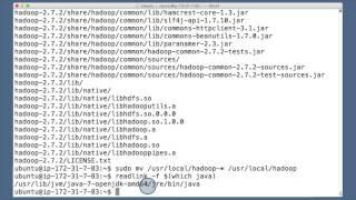 Set environment variables