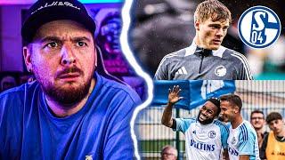 WATT passiert denn hier ?!?! SCHALKE TALK | Der Keller Stream Highlights