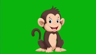 #nocopyrightvideo #Monkey talking eye blinking green screen video #create your own Educational video