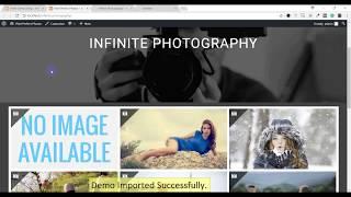 Infinite Photography : Perfect WordPress theme for photography, Demo Import Process