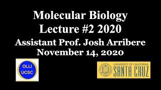 Molecular Biology #2 2020