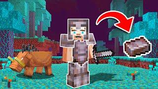 This New ARMOR Is BETTER THAN DIAMONDS! (Minecraft Nether Update)