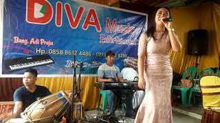 Ayam jago #dangdut koplo voc.Nur asmara (cover vidio)