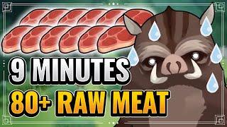 Raw Meat Farming Route (BOAR MMD INCLUDED!!) Genshin Impact Guide