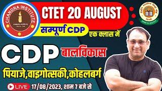 CTET CDP 2023 महामैराथन CDP संपूर्ण निचोड़ (कोहलवर्ग,पियाजे,वाइगोत्सकी) | CTET CDP Preparation 2023