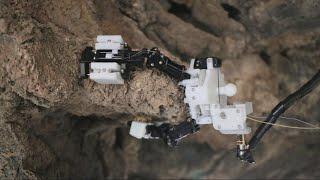 В США разрабатывают робота-насекомого для изучения пещер Марса и Луны